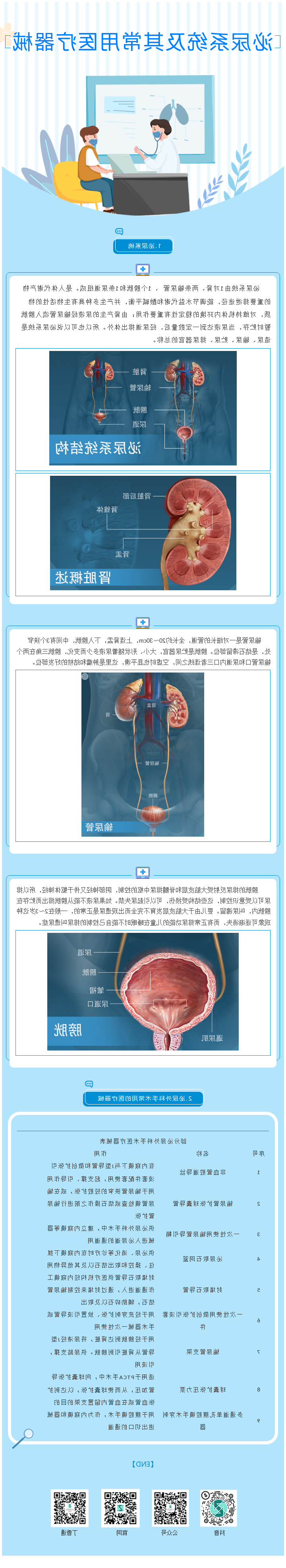 泌尿系统